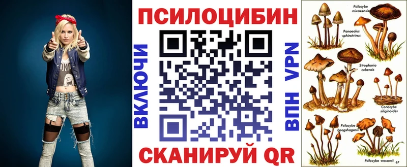 наркошоп  Ульяновск  Галлюциногенные грибы MAGIC MUSHROOMS 